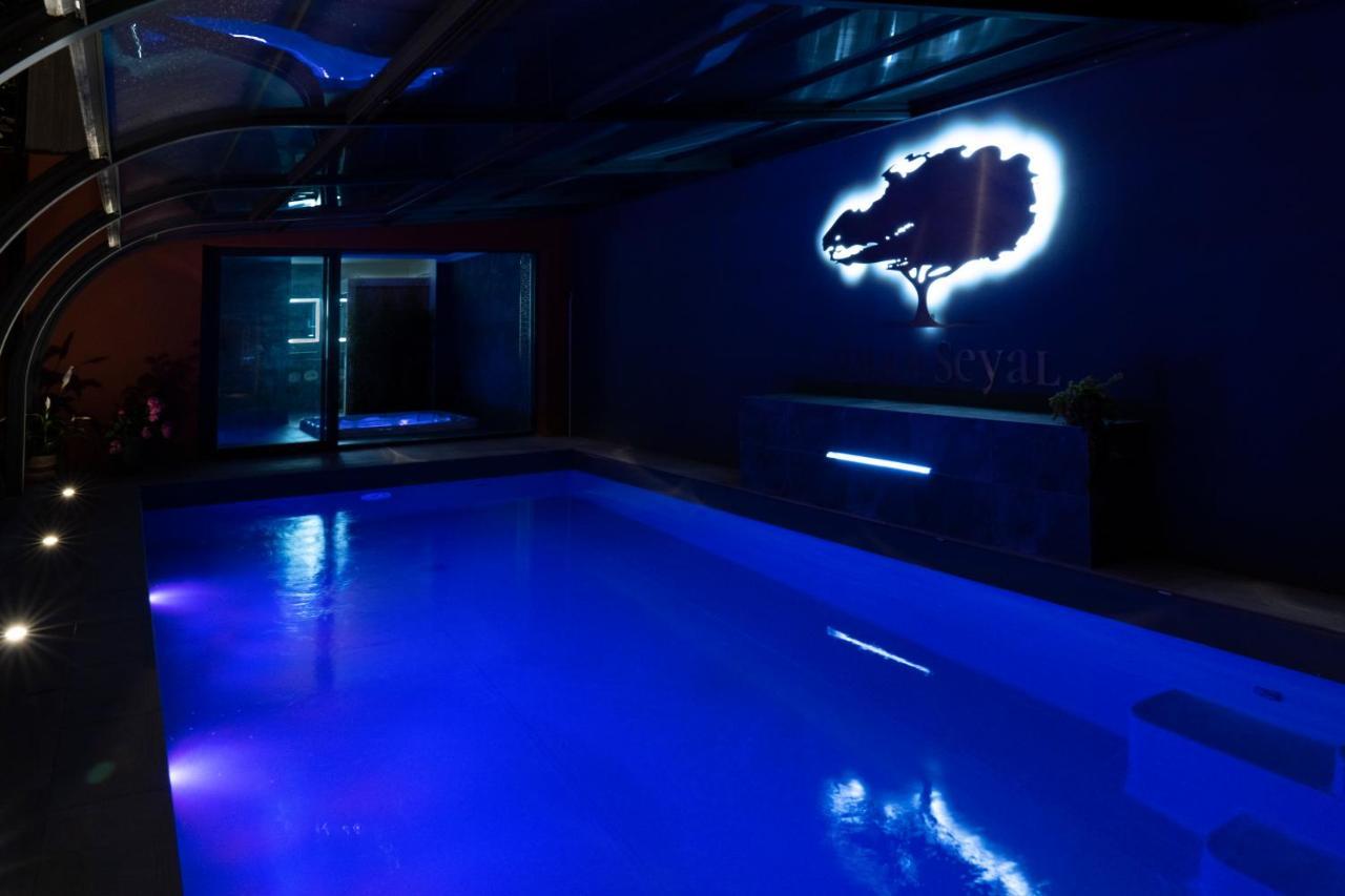 Villa Seyal - avec piscine - jacuzzi - sauna&climatisation Le Mans Esterno foto
